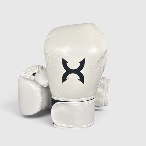 CLOUD BOXING GLOVES